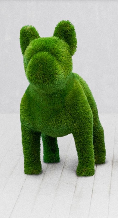 Bouledogue français