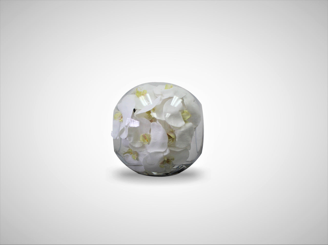 Vase Crosswinds 10" aux orchidées blanches