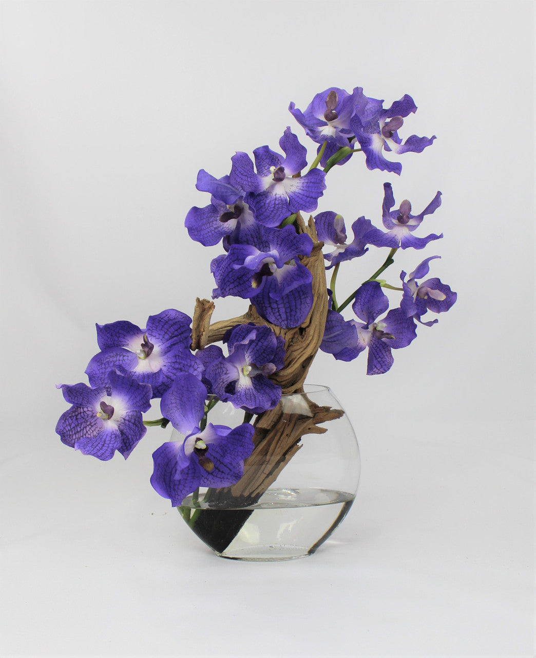 Vase lune 10" aux orchidées Vanda violettes