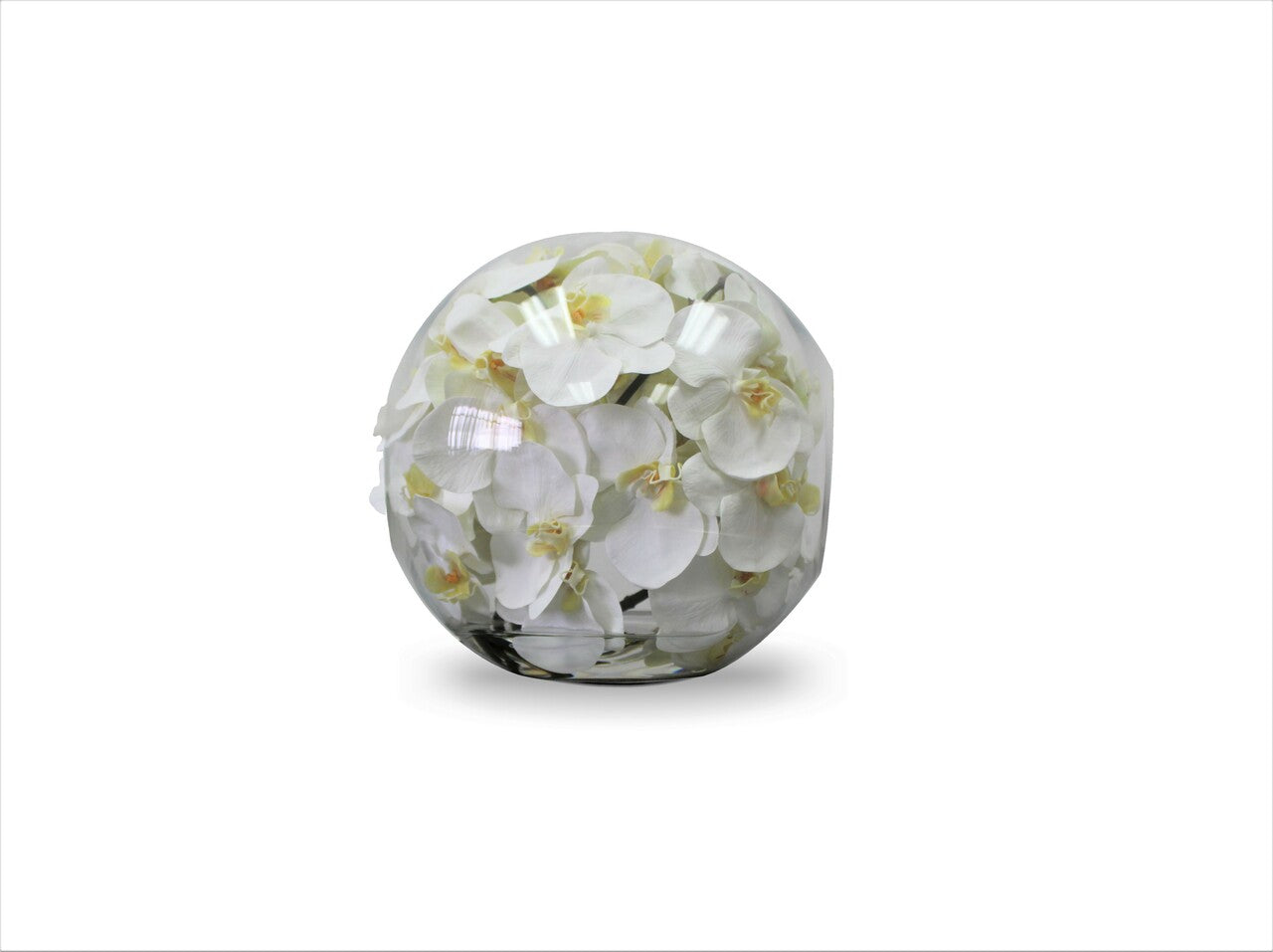 Vase Crosswinds 12" aux orchidées blanches