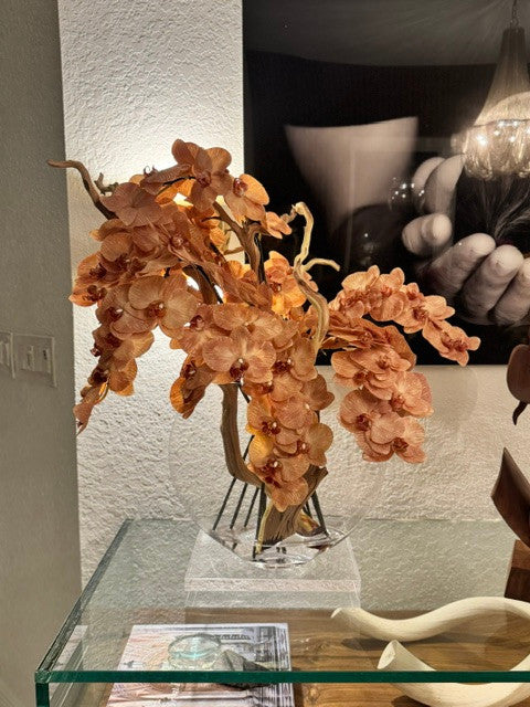 Vase lune en verre 16" aux orchidées brun clair et bois flotté