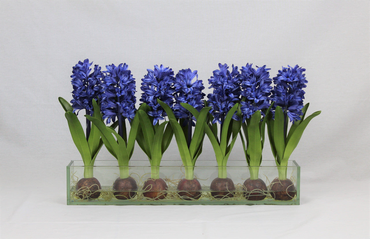 Cache-pot en verre plat Casa Moderna 24" aux jacinthes bleues