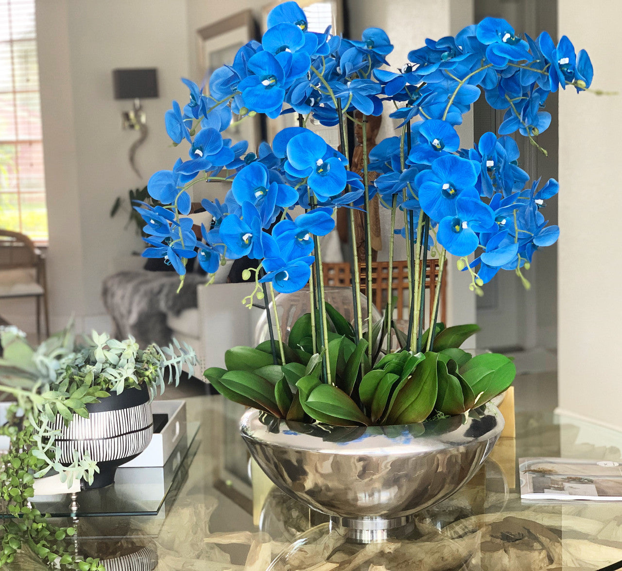 Coupe Avenue aux orchidées Phalaenopsis bleues