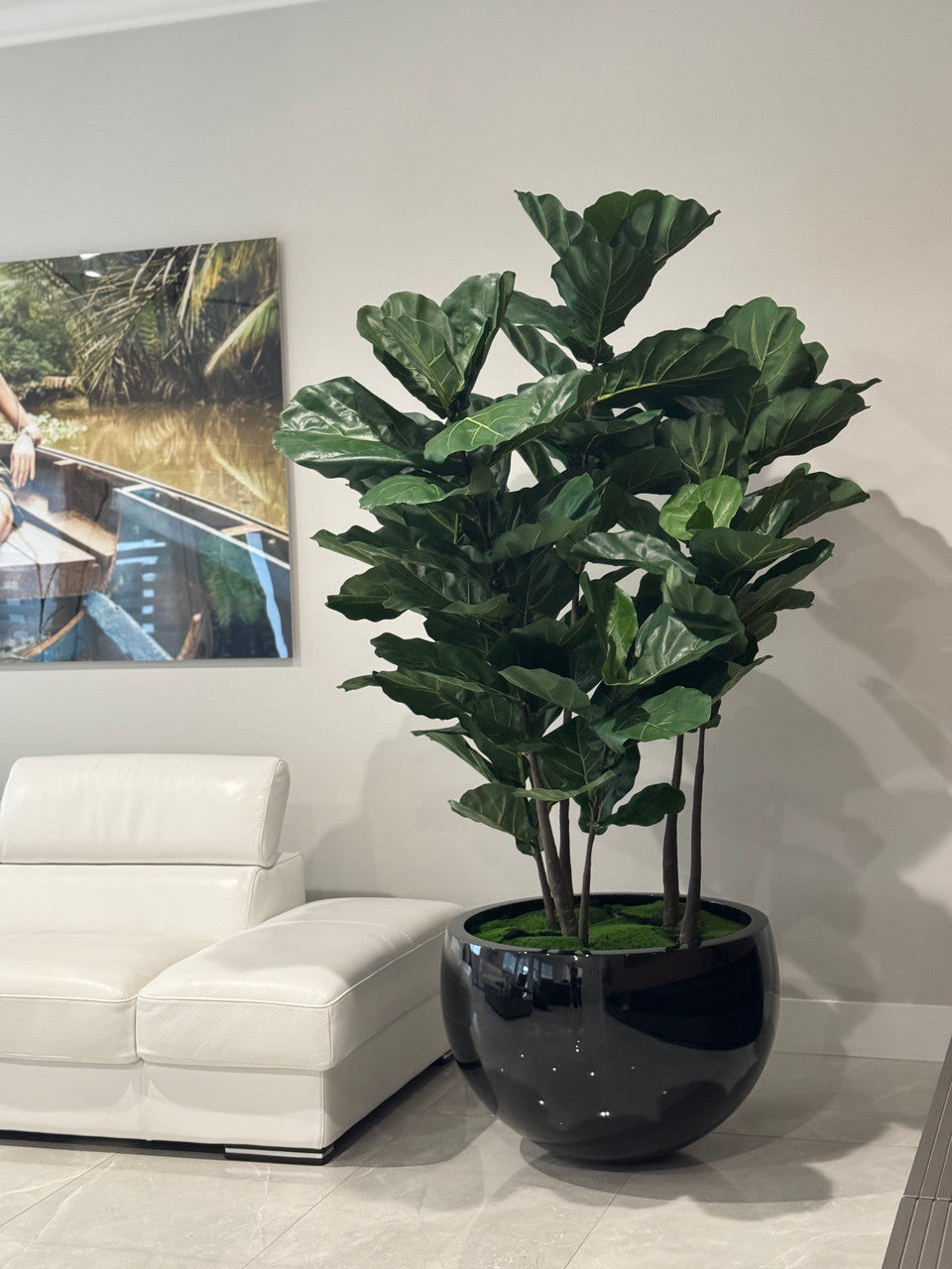 Cache-pot Terragona noir au ficus lyrata
