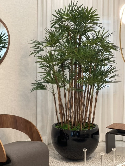 Cache-pot Terragona noir au rhapis