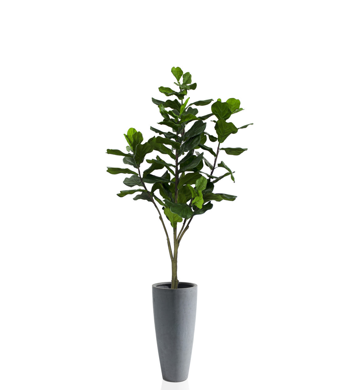 Ficus lyrata avec cache-pot Ashton pierre composite gris