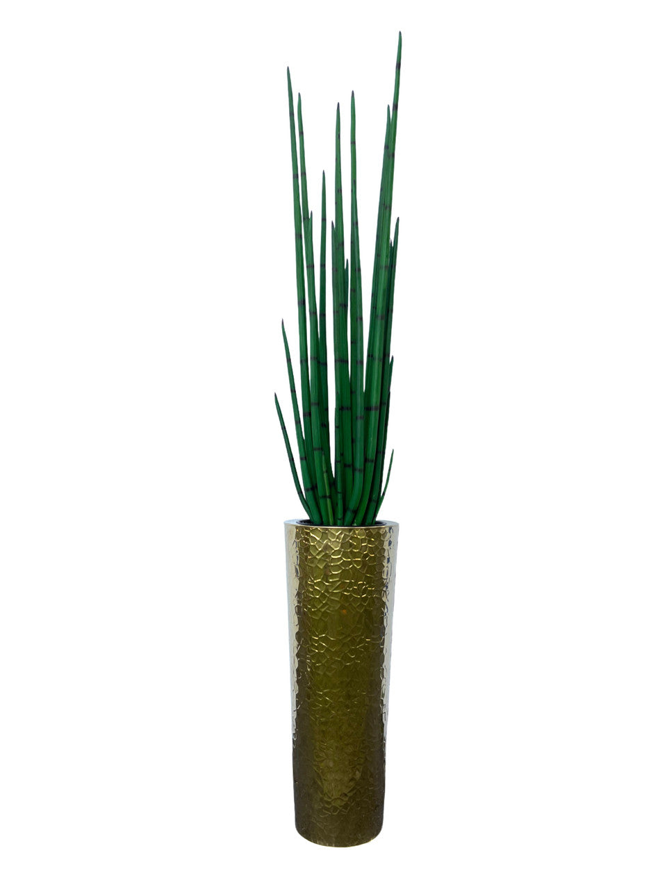 Cône martelé en acier inoxydable (28") à la grande plante d'herbe serpent