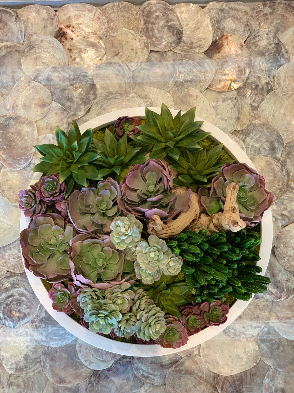Coupe Max aux succulentes mélangées
