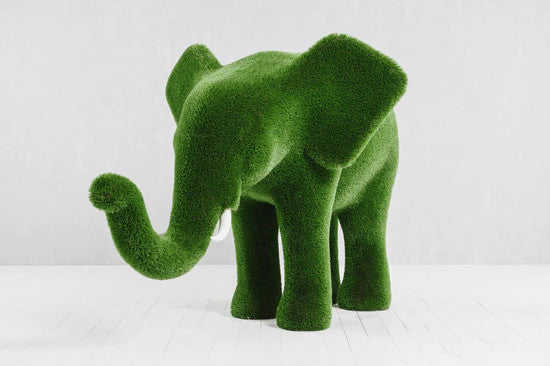 Éléphant moyen