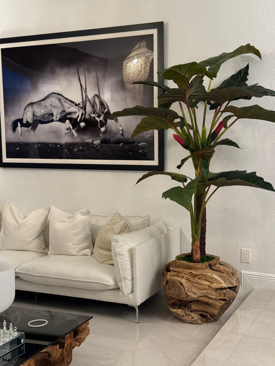 Coupe en teck surdimensionnée à l'Alocasia