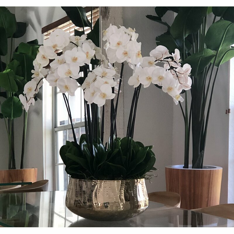 Composition florale d'orchidées Phalaenopsis en grand cache-pot doré