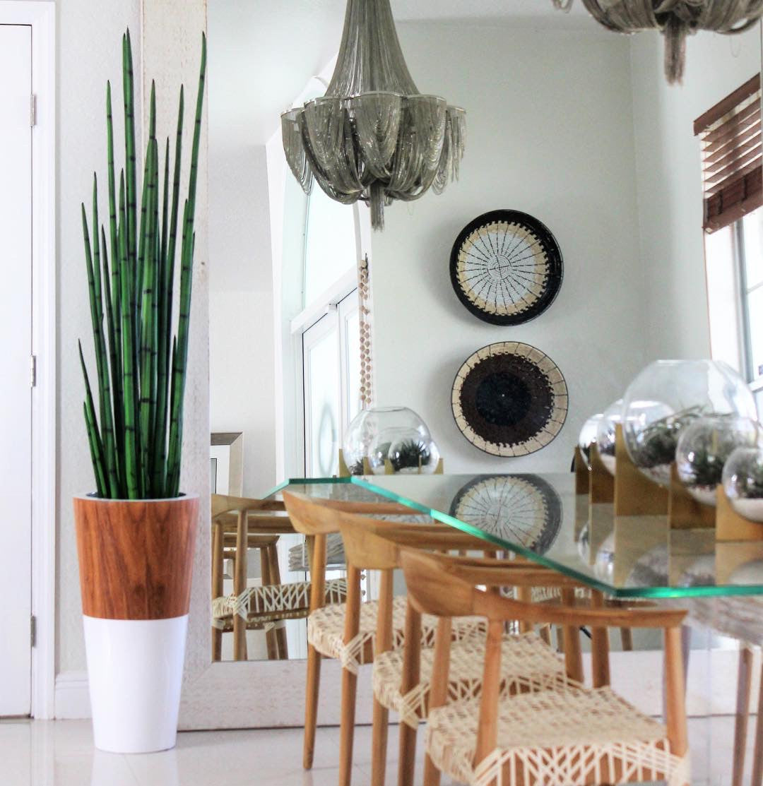 Herbe serpent (63") avec cache-pot Lux en blanc