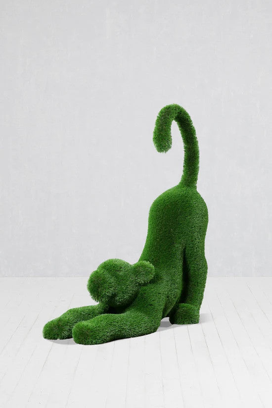 Bébé lion qui s'étire