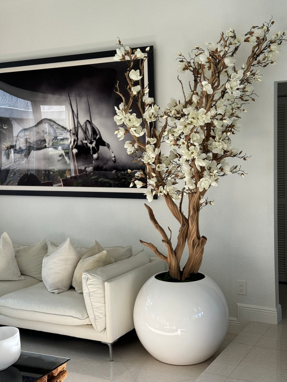 Magnolia blanc dans cache-pot globe 30" blanc brillant