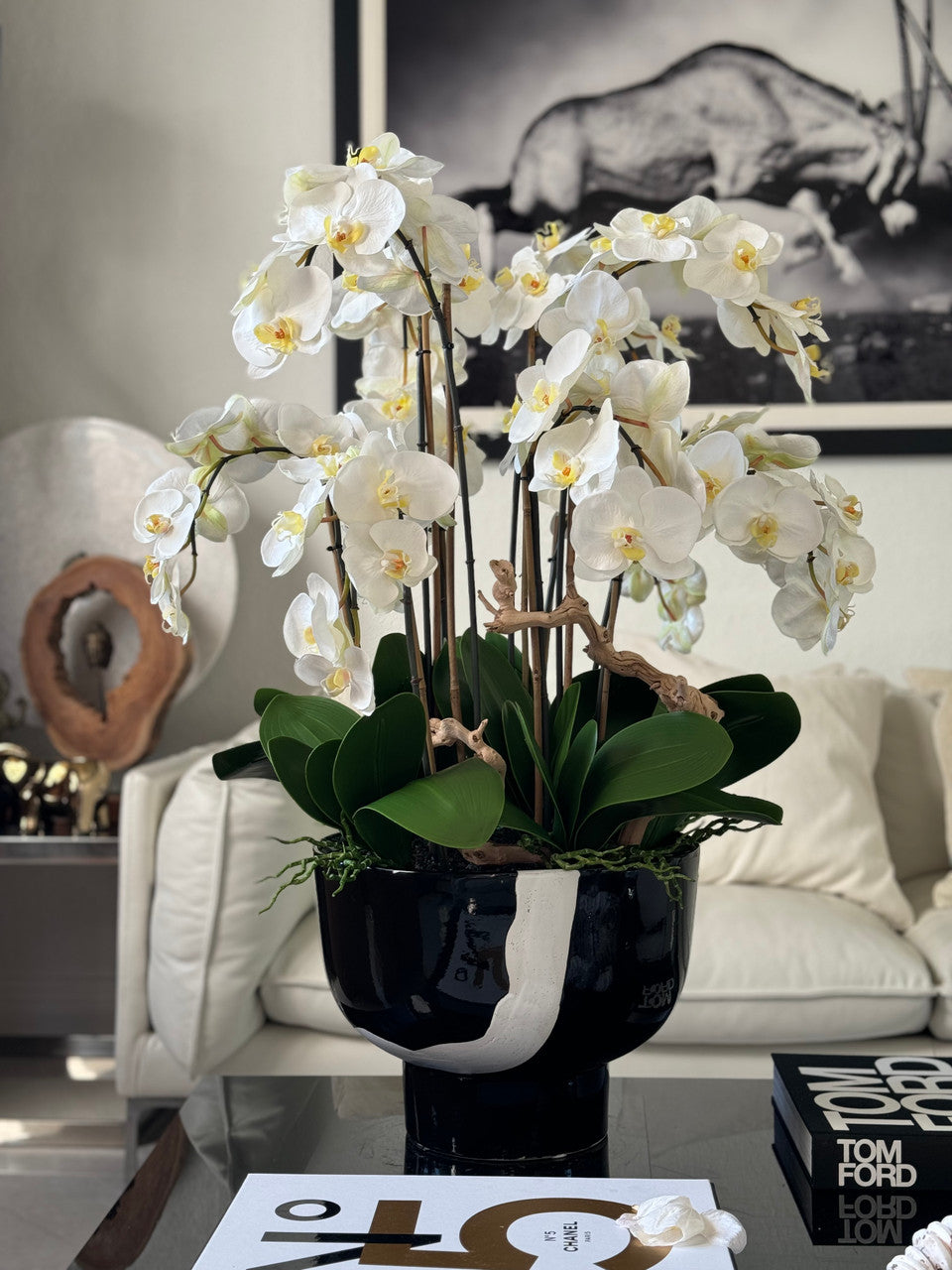 Orchidées blanches dans coupe Kempff